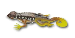 Behr Trendex Gecko Oppervlakte Kunstaas 13.5cm (21g)