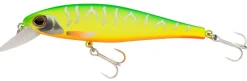 Berkley DEX Fat Bullet