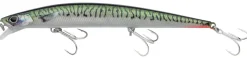 Berkley DEX Long Shot