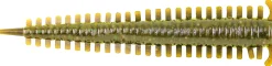 Berkley Gulp! Saltwater Sandworm 2in Shad (24 Stuks)