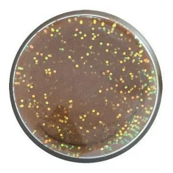 Berkley PowerBait® Natural Glitter Trout Dough 50g