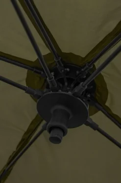 Black Cat Kraken Shelter