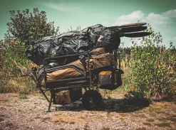Carp Spirit Monster Barrow
