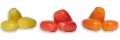 Carp Zoom Premium Maize