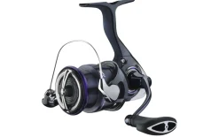 Daiwa 25 Prorex V Spinmolen