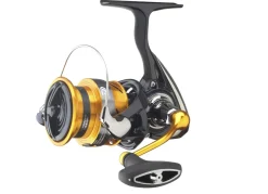 Daiwa 23 Revros Spinmolen