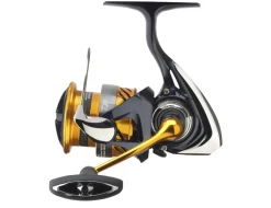 Daiwa 23 Revros Spinmolen