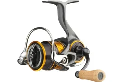 Daiwa 22 Silver Creek MQ LT Spinmolen Forel