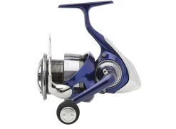 Daiwa 24 TDR Match & Feeder QD Molen