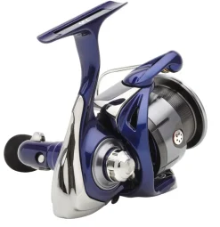 Daiwa 24 TDR Match & Feeder QD Molen