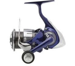 Daiwa 24 TDR Match & Feeder QD Molen