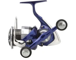 Daiwa 24 TDR Match & Feeder QD Molen