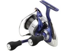 Daiwa 24 TDR Match & Feeder QD Molen