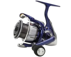 Daiwa 24 TDR Match & Feeder QD Molen