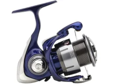 Daiwa 24 TDR Match & Feeder QD Molen