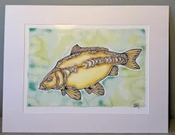 EBH Arts Vis Poster Carp (Ingelijst)