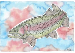 EBH Arts Vis Poster Rainbow Trout (Ingelijst)