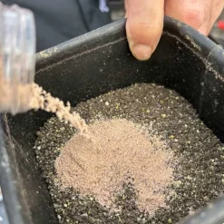 Fjuka Sensate™ Powder (100g)