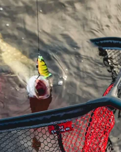 Fox Rage Short Mag Net