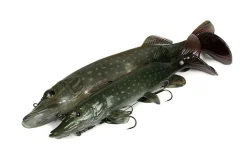Fox Rage Ultra Natural Pike Replicant Swimbait