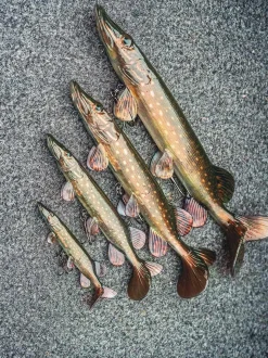 Fox Rage Ultra-Realistic Pike Replicant Swimbait 20cm (80g)