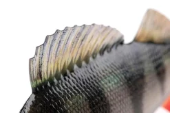 Fox Rage Ultra-Realistic Perch Replicant Swimbait 14cm (52g)