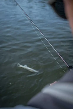 Fox Rage Warrior Zander Jig Spinhengel 2.4m (10-30g)