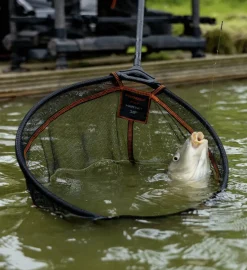 Frenzee FXT Landing Net - Hair Net