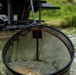 Frenzee FXT Landing Net - Hair Net
