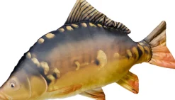 Gaby The Carp