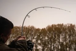 Grade N-Dorser Karperhengel 12ft (2.75lb)