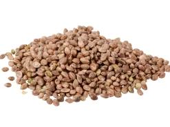 Hemp - 2,5kg