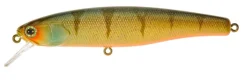 Illex Arnaud 100 F Plug 10cm (16g)