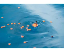 Korum Surface Feeder Float