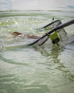 Matrix Carp Latex Schepnet