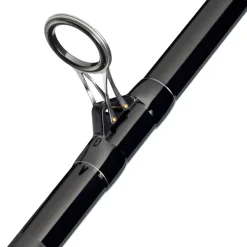 Mitchell Adventure II Surf Strandhengel (100-250g)