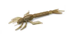 Nays DRGN 30 Creaturebait 3''/7.62cm (1.5g) (7 Stuks)