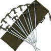 NGT 10 x 12" Bivvy Pegs inclusief Case