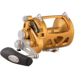 PENN International VI SW Gold Zeevis Reel