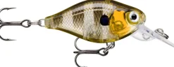 Rapala X-Light Crankbait Middelmatig 3.5cm (4g)