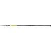 Shimano Beastmaster AX Monster Tele Hengel 4.20m (200g)