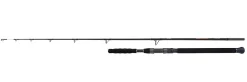 Shimano Beastmaster Catfish Meervalhengel Vertical 1.85m (200g)