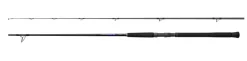 Shimano Currentsniper BB Shore Jigging Spinhengel