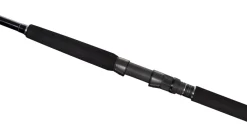 Shimano Currentsniper BB Shore Jigging Spinhengel