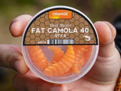 Spro Trout Master Fat Camola Forel Kunstaas 4cm (8 stuks)