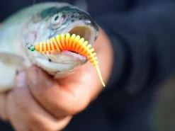 Spro Trout Master Worm Softbait 6.5cm (8 stuks)