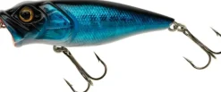 Swimy Popper
