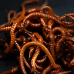Tactic Carp Trigger Worms Natural Baits (30ml)