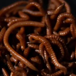 Tactic Carp Trigger Worms Natural Baits (30ml)