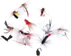 Ultimate Fly Selection 12pcs
